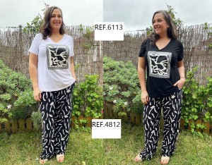 R-6113 / R-4812