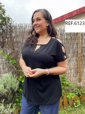 R-6123